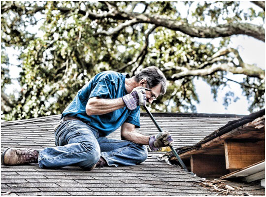 Roofing Contractor